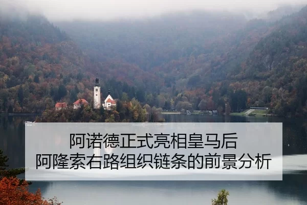 阿诺德正式亮相皇马后 阿隆索右路组织链条的前景分析