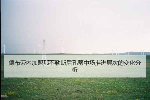 德布劳内加盟那不勒斯后孔蒂中场推进层次的变化分析